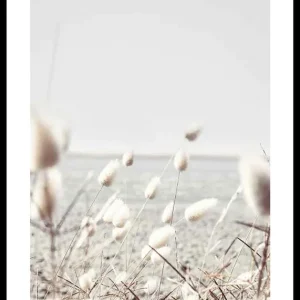 Bunny Tails Poster Solange Der Vorrat Reicht