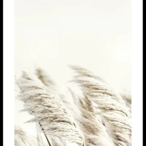 Reed In Wind Poster Super-Preis