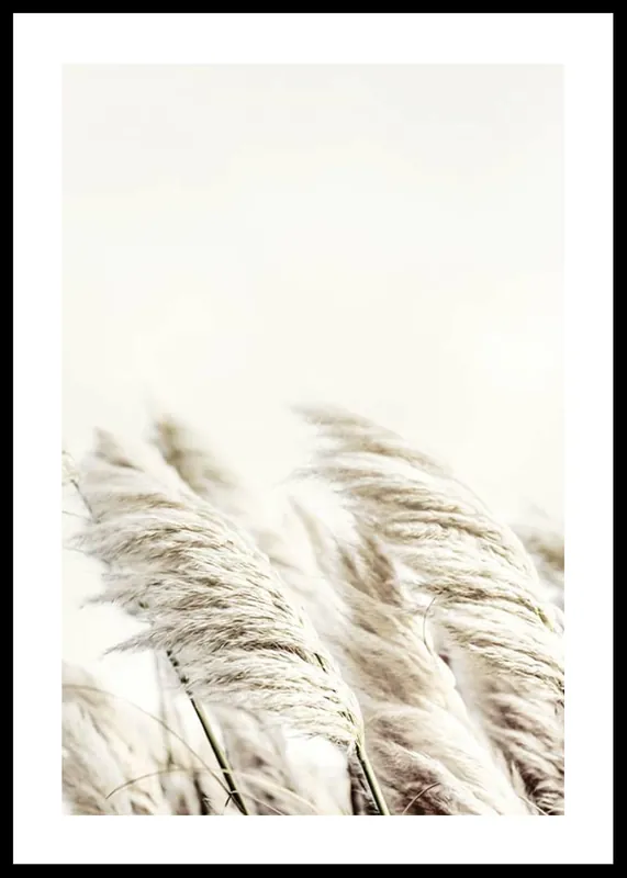 Reed In Wind Poster Super-Preis