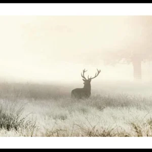 Jetzt Bestellen Deer In Mist Poster