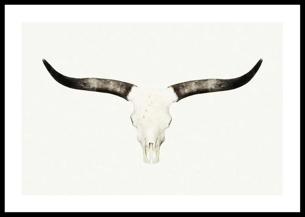 Highlight Animal Skull Poster