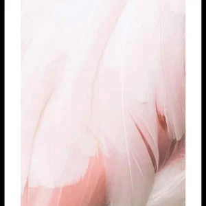 Kostenloser Rückversand Flamingo Feathers Poster