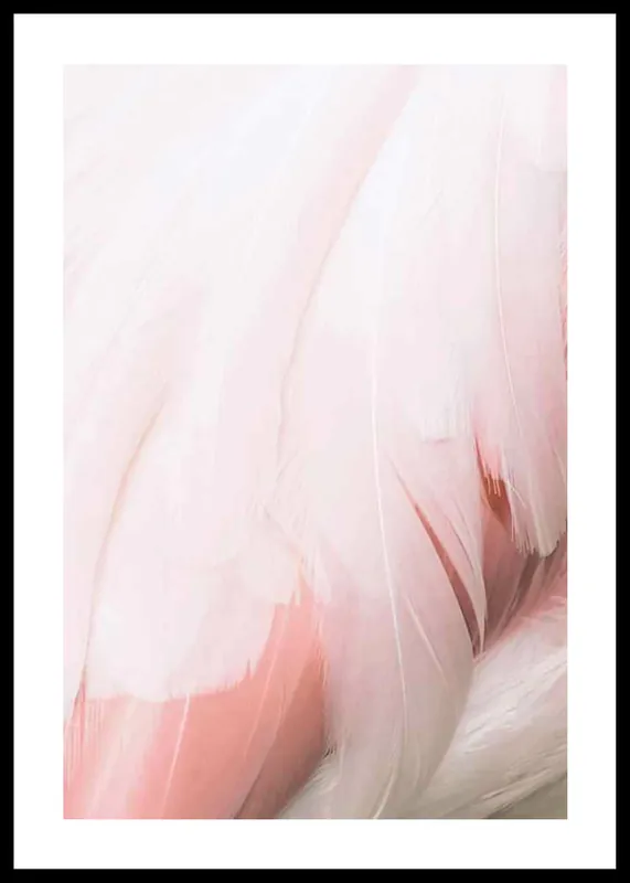 Kostenloser Rückversand Flamingo Feathers Poster