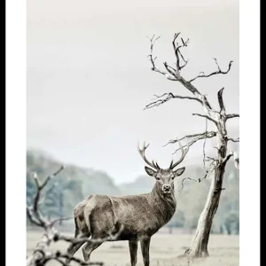 Winter Deer Poster Bestseller