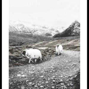 Winter Goats Poster Wochenendangebot