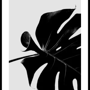 Neuheit Monstera Black Poster