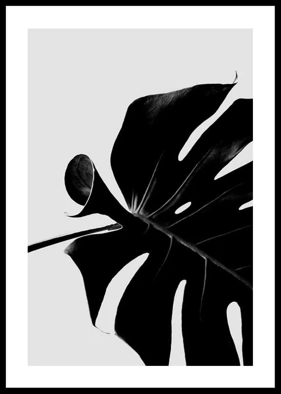 Neuheit Monstera Black Poster