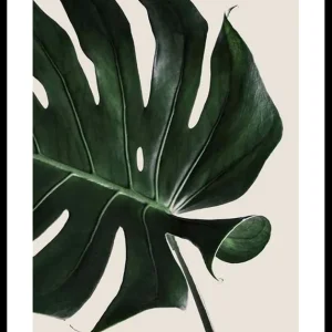 Echt Monstera Two Poster
