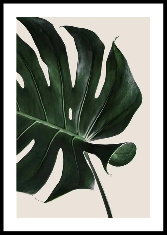 Echt Monstera Two Poster