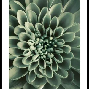 Neue Ware Green Petals Poster