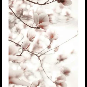 Pink Botanical Shades Poster Nur Für Kurze Zeit