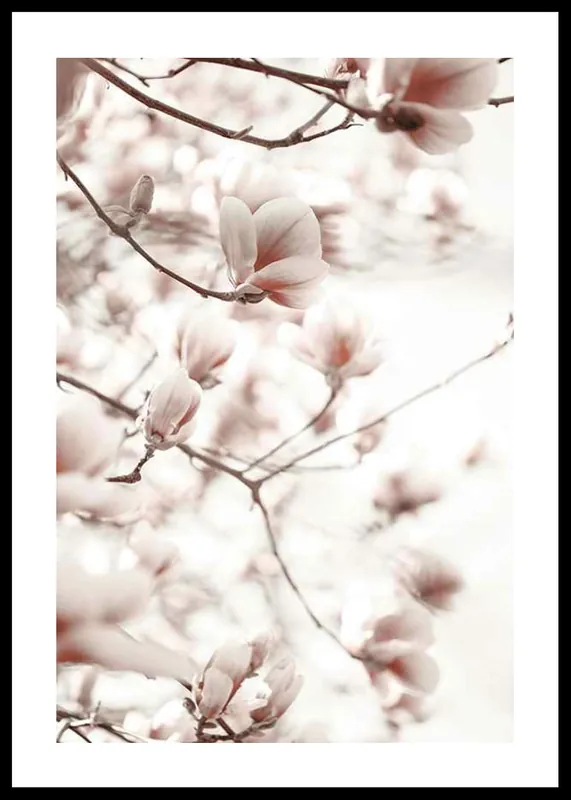 Pink Botanical Shades Poster Nur Für Kurze Zeit