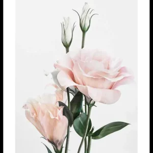 Rose Bouquet No1 Poster Top-Seller