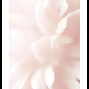 Meistverkauft Tender Flowers No3 Poster