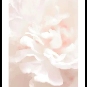 Tender Flowers No1 Poster Knallerangebot