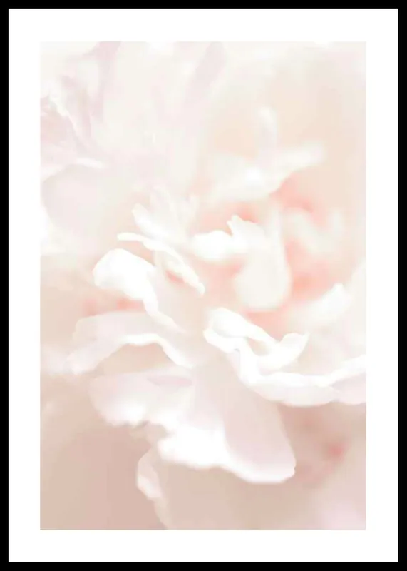 Tender Flowers No1 Poster Knallerangebot