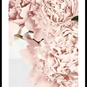 Neue Ware Loving Roses No2 Poster