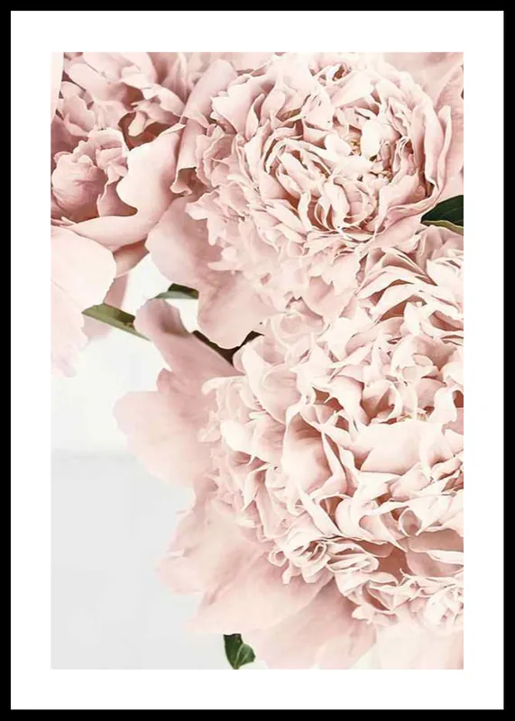 Neue Ware Loving Roses No2 Poster