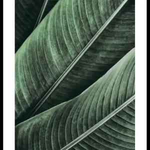Finale Aktion Banana Leaves No1 Poster