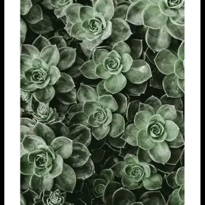 Close Up Green Poster Schneller Versand