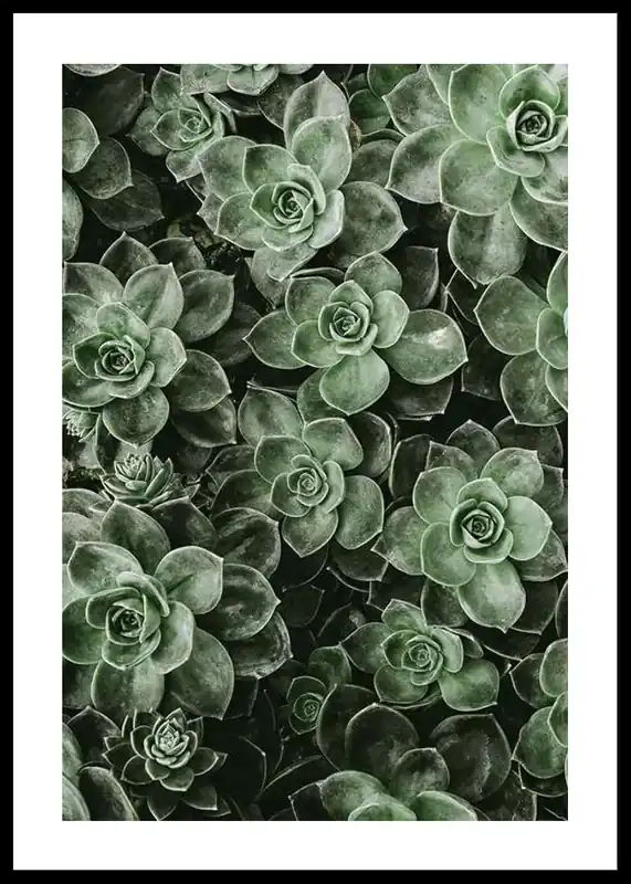 Close Up Green Poster Schneller Versand