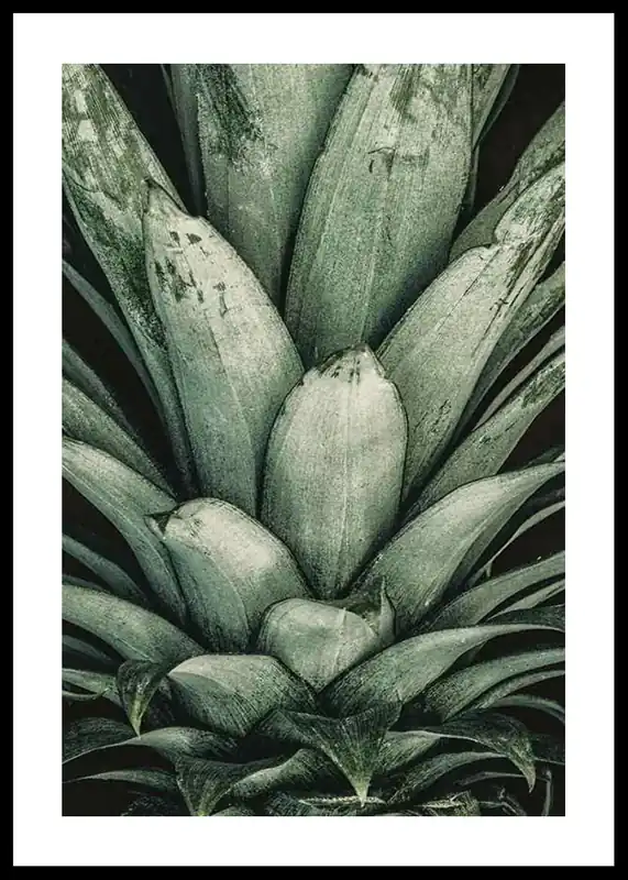 Nur Heute Pineapple Close Poster