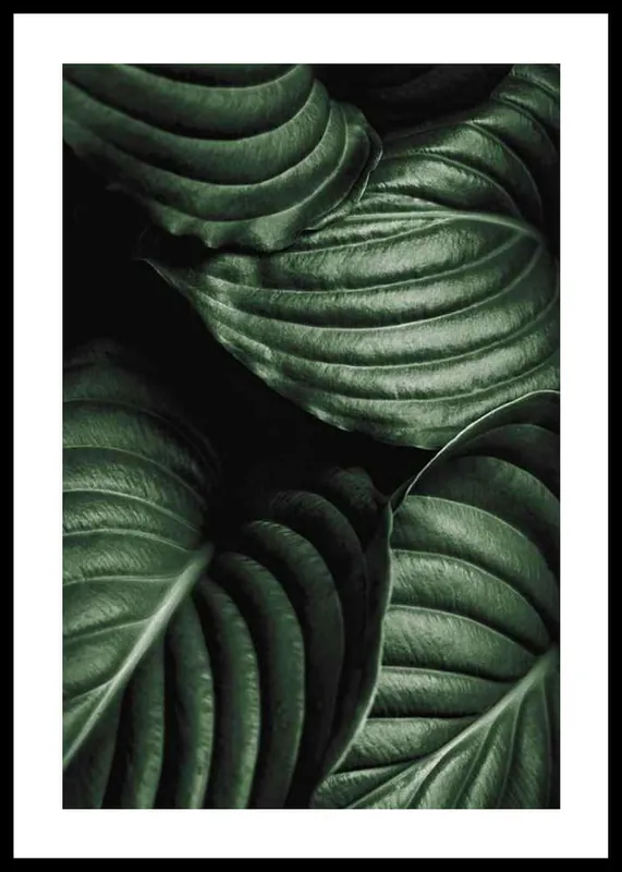 Intense Green No3 Poster Angebot
