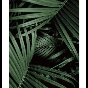 Begrenztes Angebot Intense Green No1 Poster