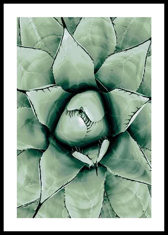 Agave Close Up No1 Poster Begrenztes Angebot