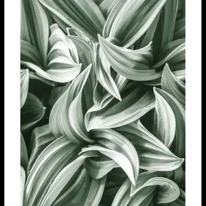 Bright Green Botanical No2 Poster Kostenfreie Lieferung