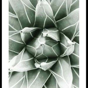 Bright Green Botanical No1 Poster Garantierte Lieferung