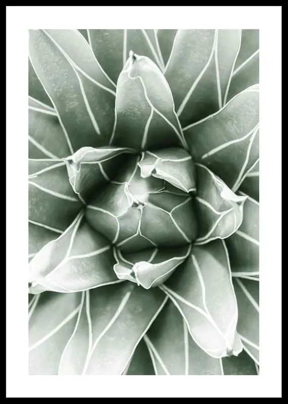 Bright Green Botanical No1 Poster Garantierte Lieferung