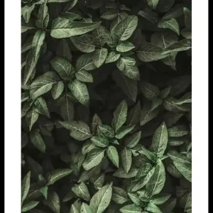 Garden Green No1 Poster Sonderaktion