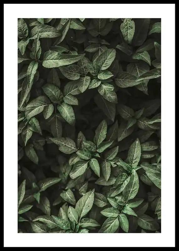 Garden Green No1 Poster Sonderaktion