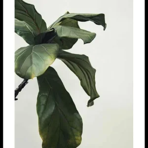 Nur Heute Botanical Leaves Poster
