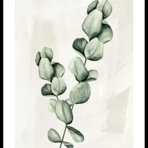 Kracherpreis Eucalyptus Watercolor Poster