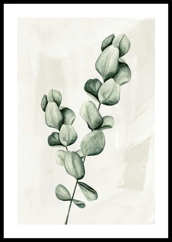 Kracherpreis Eucalyptus Watercolor Poster