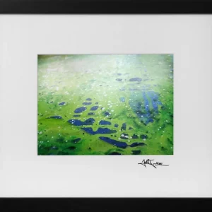 Versand Am Gleichen Tag Edition, signierter Druck, Julio Fernandez: "Everglades I"
