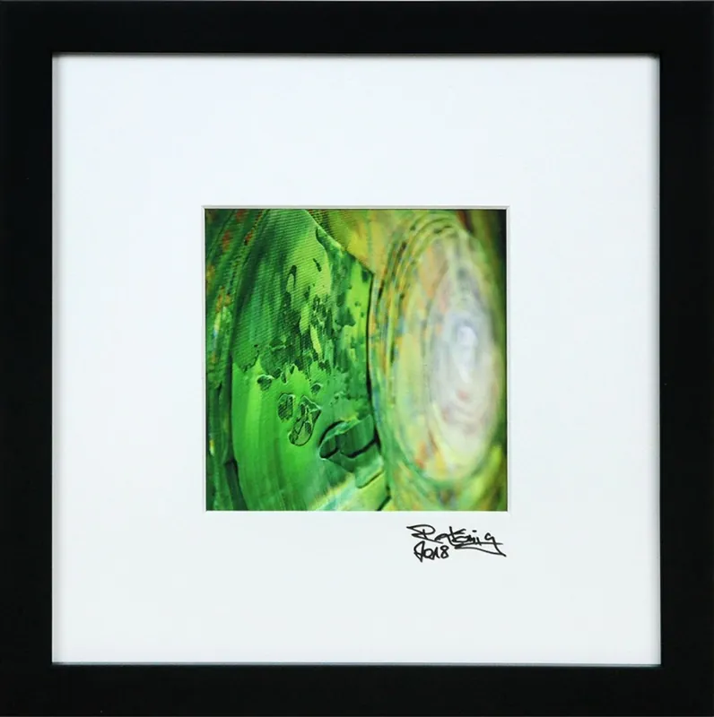 Neu Im Sortiment Edition, signierter Kunstdruck, Raphael König: "Makro im Aufwind II"