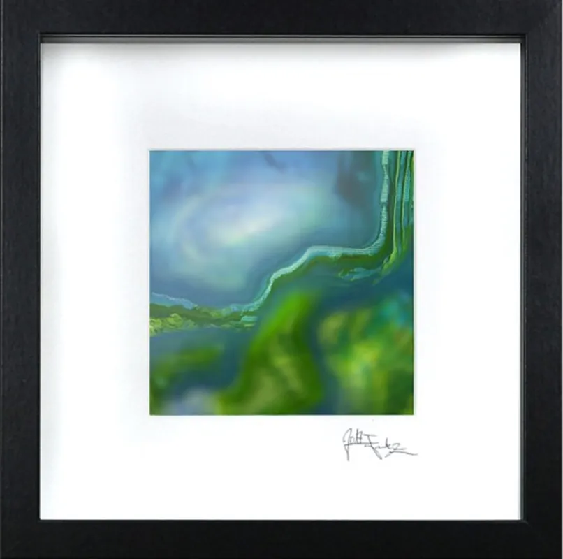 Edition, signierter Druck, Julio Fernandez: "Morphing" Neue Ware