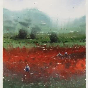 Top-Preis Aquarellmalerei: "Mohnfeld", Original/Unikat, F. Bär
