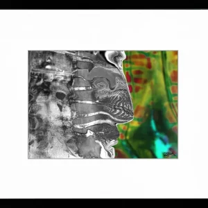 Digitalkunst, Kunstdruck, : "Fish or Priest II", Raphael König, signierter Edition, Nr. 1/150 Preisreduziert