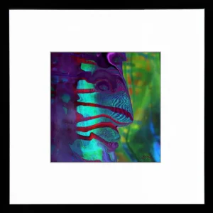 Digitalkunst, Kunstdruck, : "Fish or Priest I", Raphael König, signierter Edition, Nr. 1/150 Super-Preis