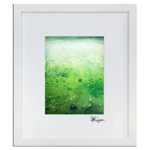 Edition, signierter Druck, Julio Fernandez: "Everglades II" Nur Für Kurze Zeit