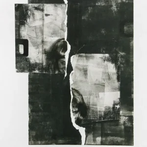 F. Lorenz: "same same but different", signierter & limitierter Fineartprint (A) Zertifiziert