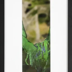 Edition, signierter Kunstdruck, Julio Fernandez: "Where are you?" Preiswert