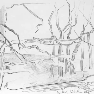 Schneller Versand F.O. Haake: "Bei Dorf Wehlen", originale Zeichnung/Unikat auf Papier