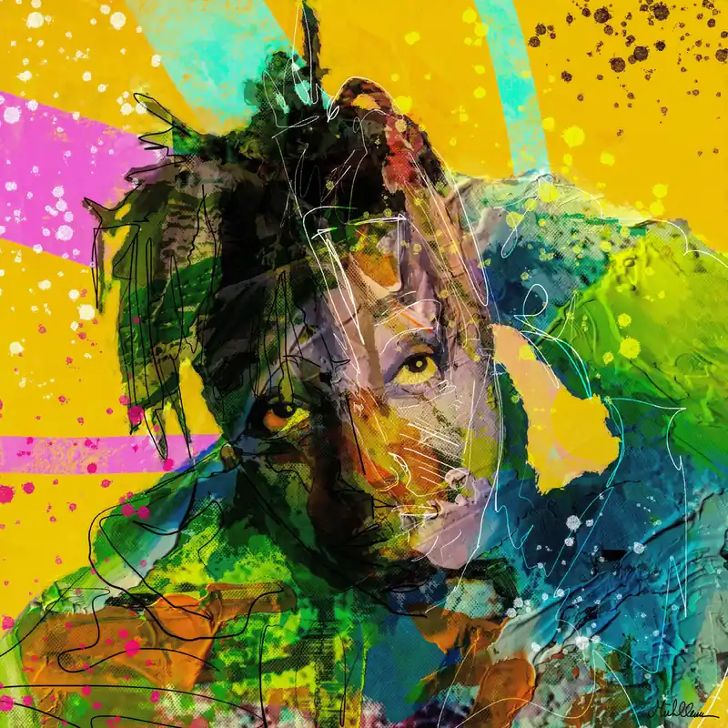 H. Mühlbauer-Gardemin: "Rapper Death 3", Moderne Pop Art, Original/serielles Unikat Billig