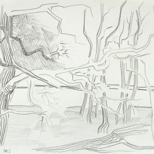 Top-Seller F.O. Haake: "Wald 2013", originale Zeichnung/Unikat auf Papier