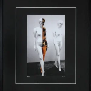 Ausverkauf Surrealistische Collage, F. Lorenz: "Die Seelenwanderer II"